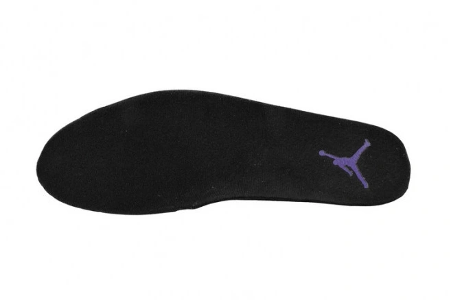 Cheap MAX Jordan Purple Field CT8013-057 Air Retro 12 0708